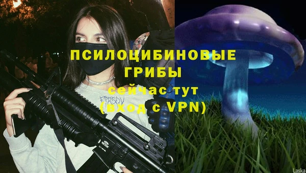 прущая мука Белоозёрский