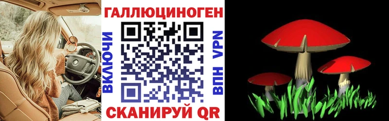 Галлюциногенные грибы GOLDEN TEACHER  Белорецк 