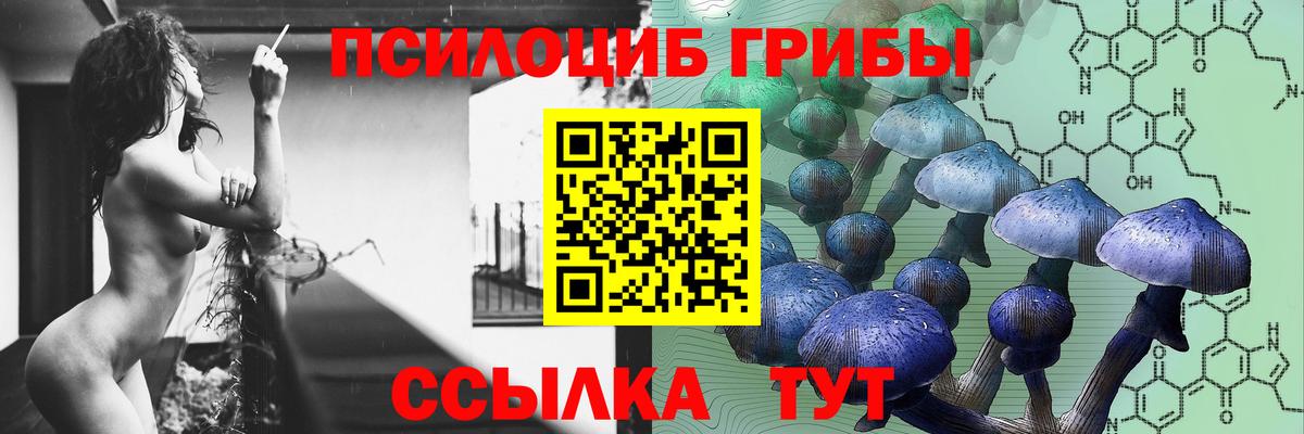 Белорецк  Галлюциногенные грибы Cubensis  Вход с VPN 